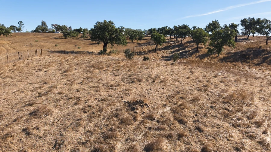 Terreno Misto para Venda em Abela Foto 27