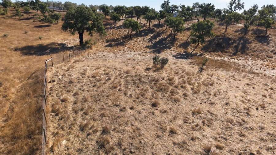 Terreno Misto para Venda em Abela Foto 29