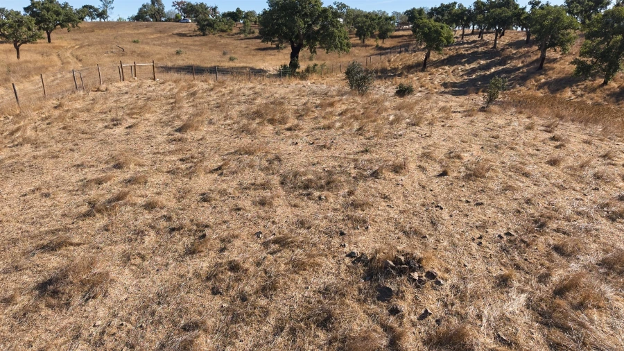 Terreno Misto para Venda em Abela Foto 26