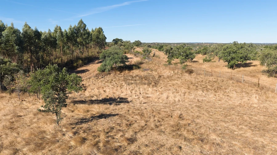 Terreno Misto para Venda em Abela Foto 25