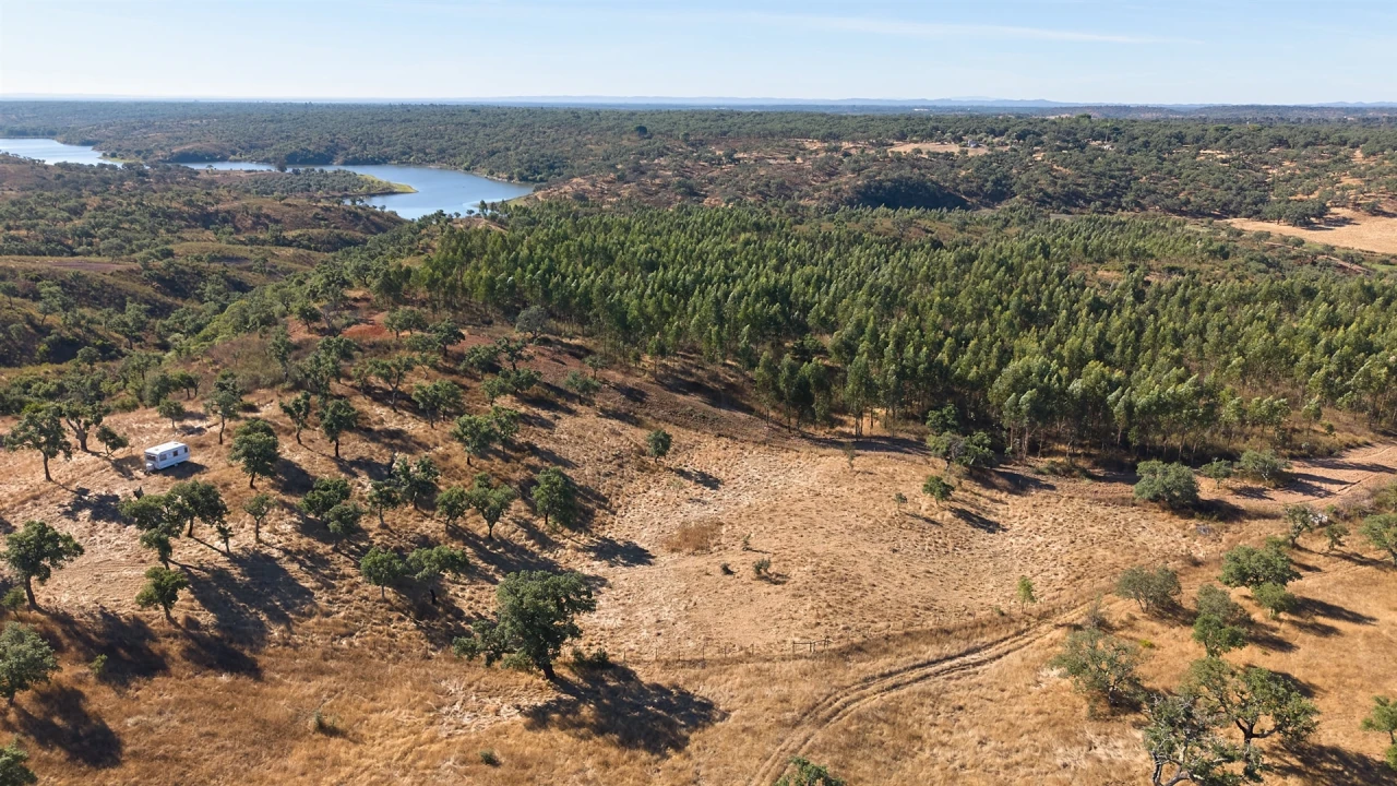 Terreno Misto para Venda em Abela Foto 5