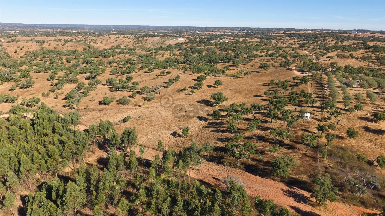 Terreno Misto para Venda em Abela Foto 9