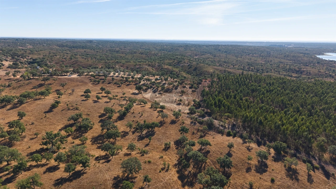 Terreno Misto para Venda em Abela Foto 32
