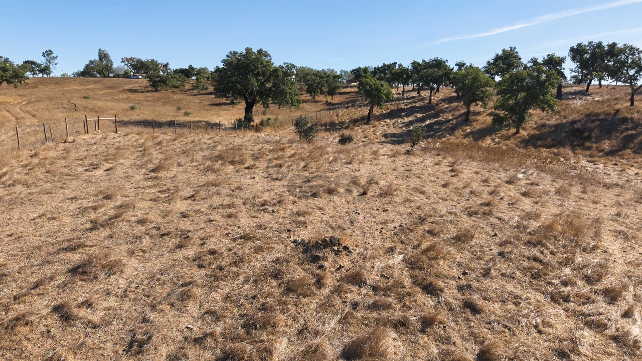 Terreno Misto para Venda em Abela Foto 27