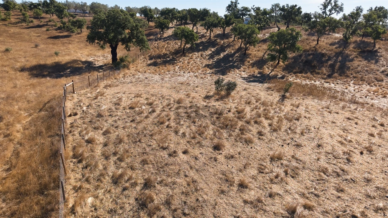 Terreno Misto para Venda em Abela Foto 29