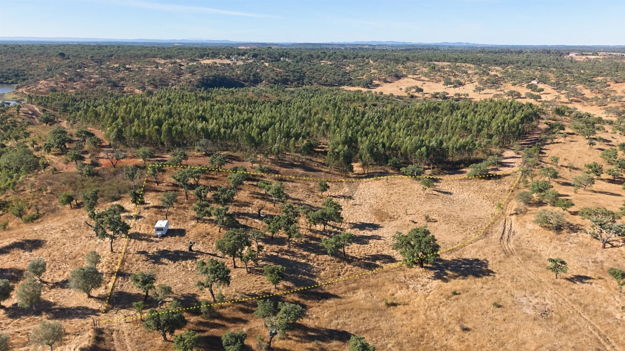 Terreno Misto para Venda em Abela Foto 2