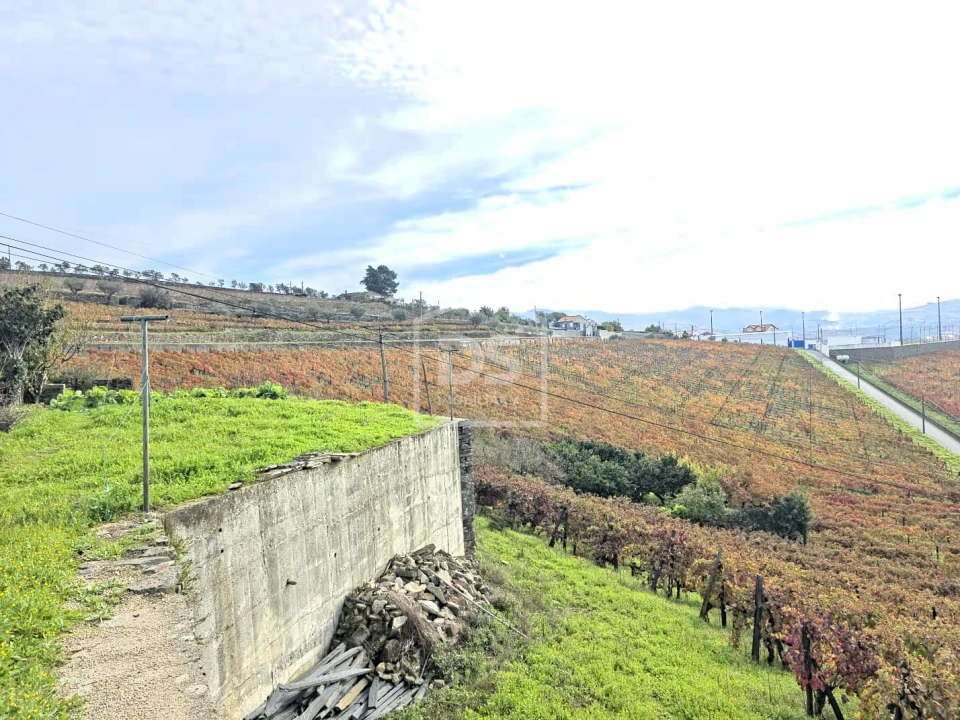 Quinta T4 para Venda em Fontelas Foto 49