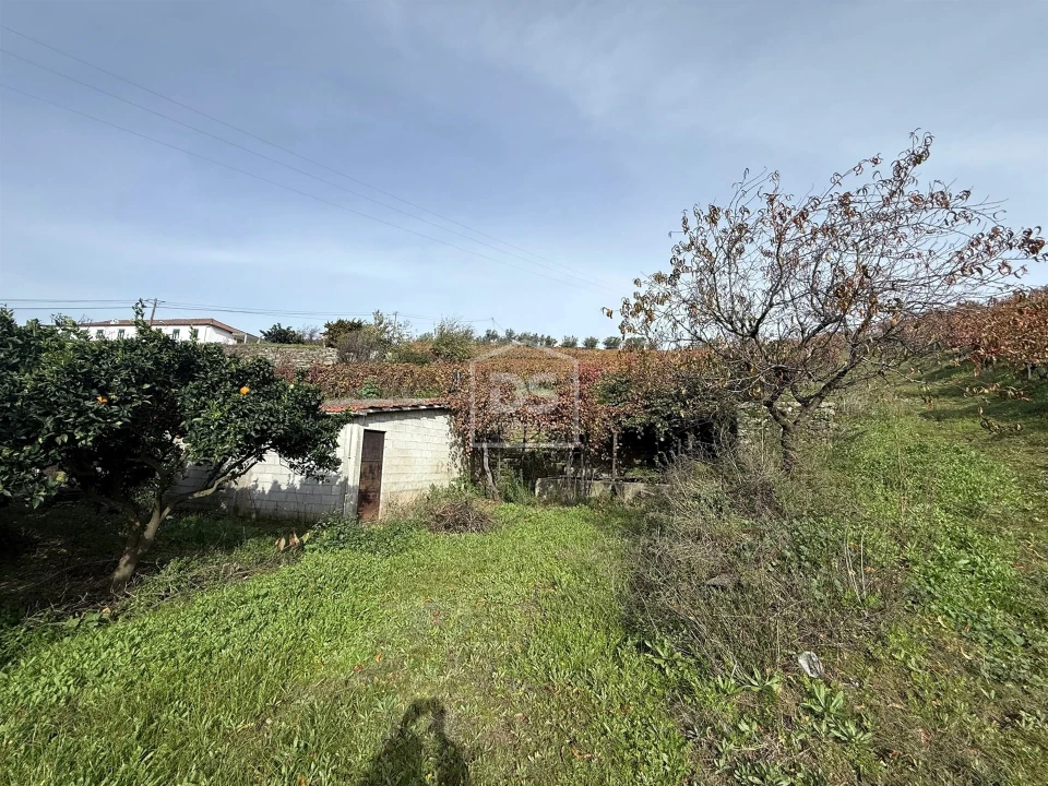 Quinta T4 para Venda em Fontelas Foto 26