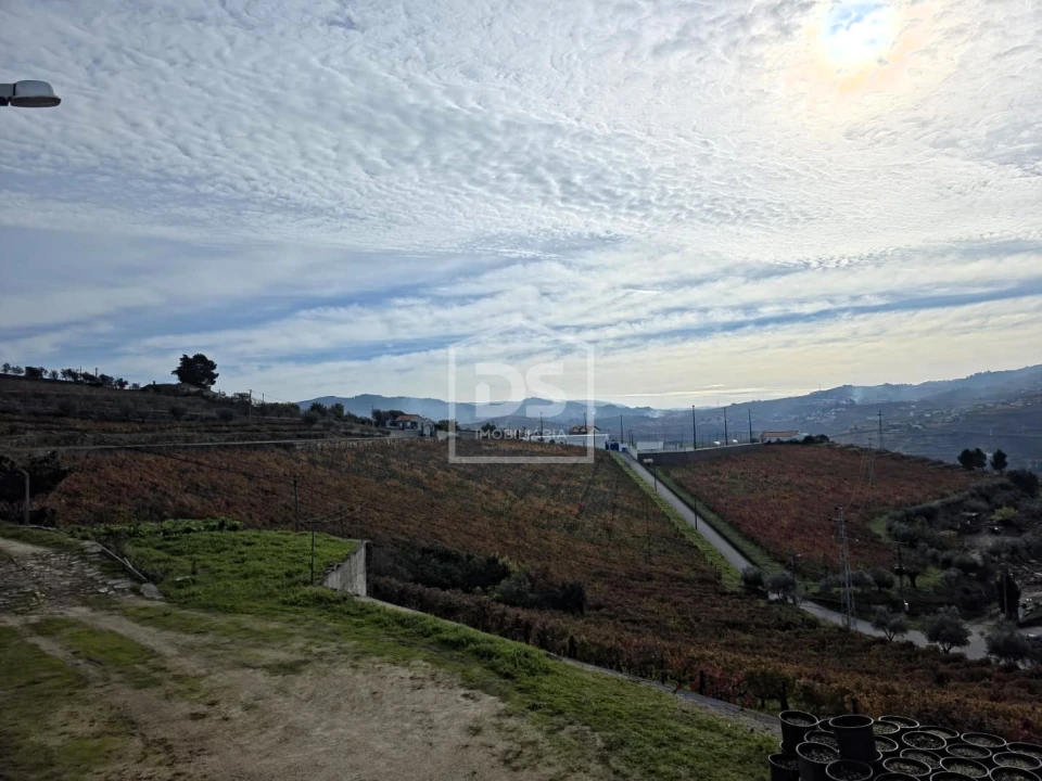 Quinta T4 para Venda em Fontelas Foto 38