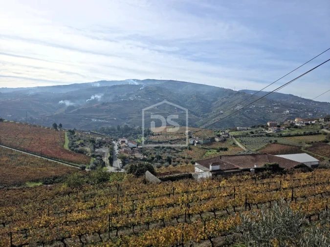 Quinta T4 para Venda em Fontelas Foto 32