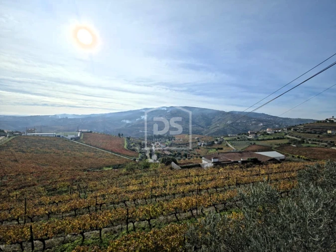 Quinta T4 para Venda em Fontelas Foto 30