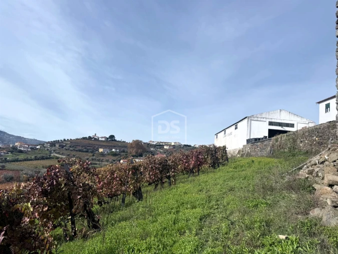 Quinta T4 para Venda em Fontelas Foto 23