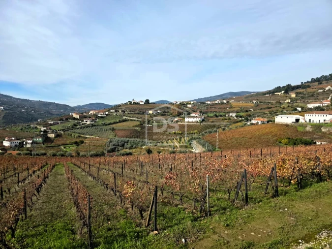 Quinta T4 para Venda em Fontelas Foto 17