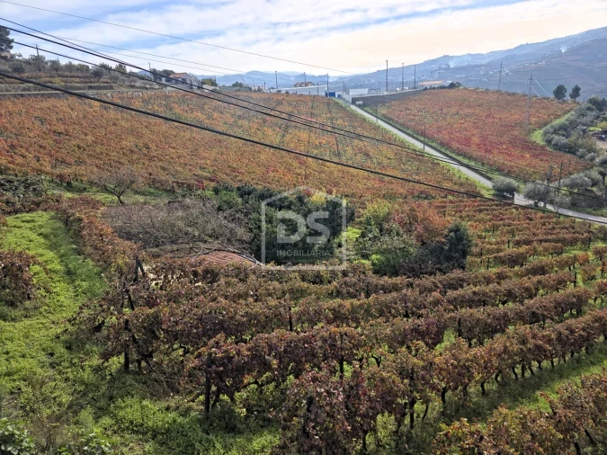 Quinta T4 para Venda em Fontelas Foto 35