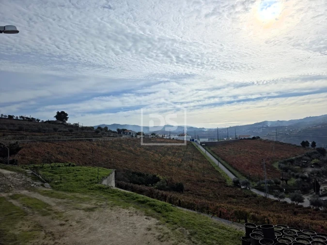 Quinta T4 para Venda em Fontelas Foto 38