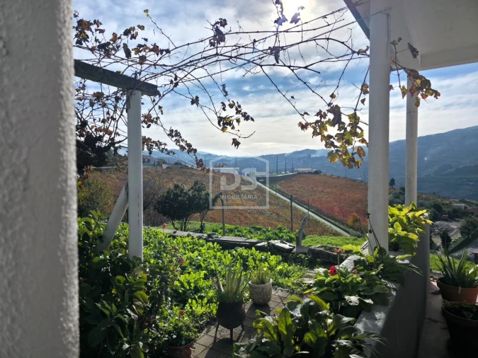 Quinta T4 para Venda em Fontelas Foto 12