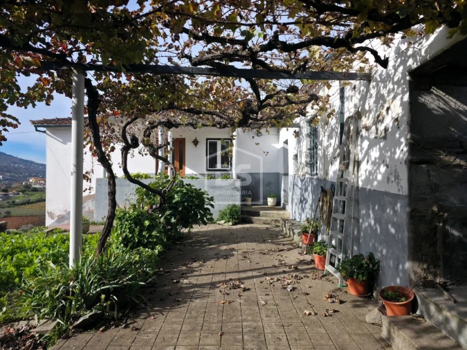 Quinta T4 para Venda em Fontelas Foto 13