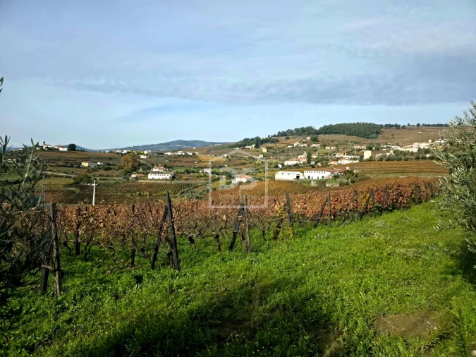 Quinta T4 para Venda em Fontelas Foto 16