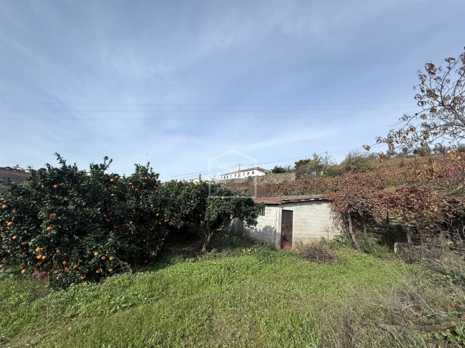 Quinta T4 para Venda em Fontelas Foto 25