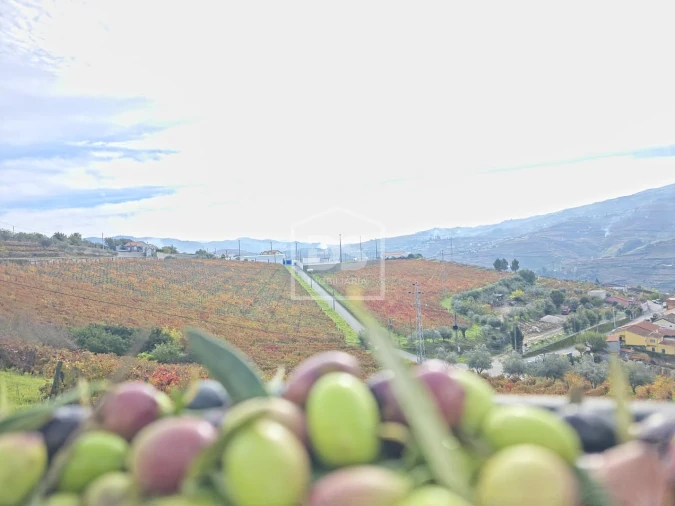 Quinta T4 para Venda em Fontelas Foto 46