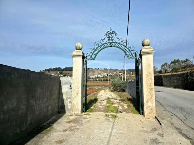 Quinta T4 para Venda em Fontelas Foto 19