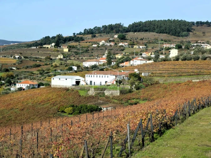 Quinta T4 para Venda em Fontelas Foto 2