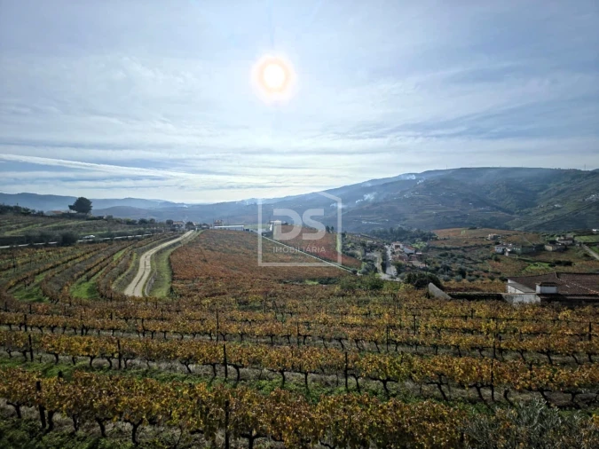 Quinta T4 para Venda em Fontelas Foto 31