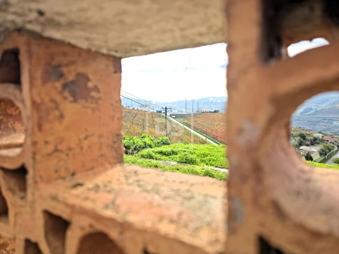 Quinta T4 para Venda em Fontelas Foto 50