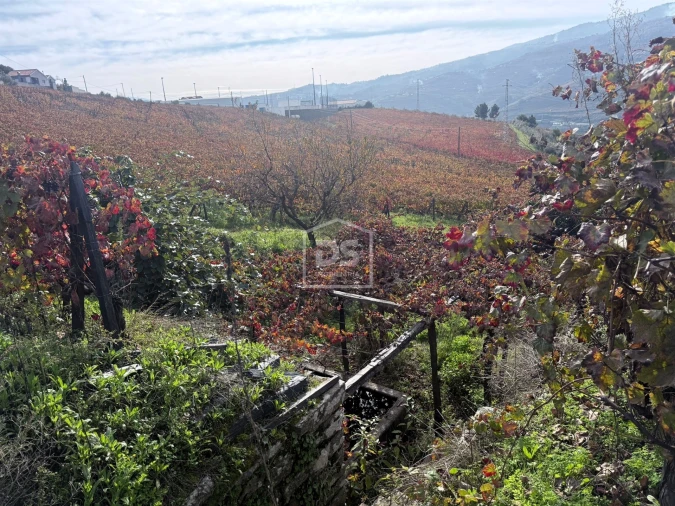 Quinta T4 para Venda em Fontelas Foto 24