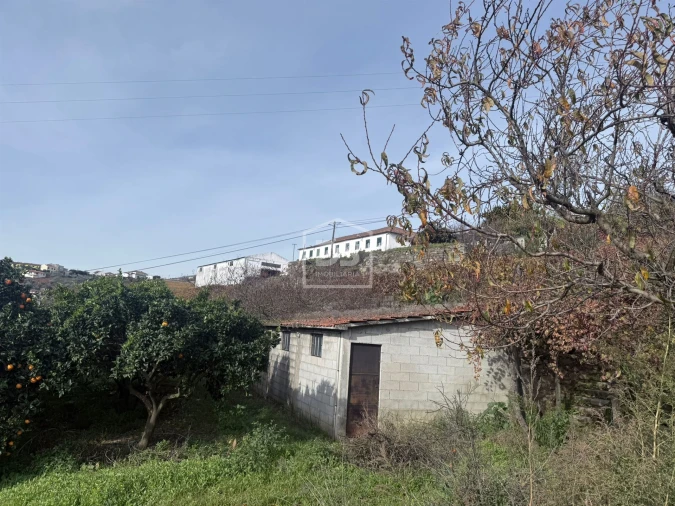 Quinta T4 para Venda em Fontelas Foto 29