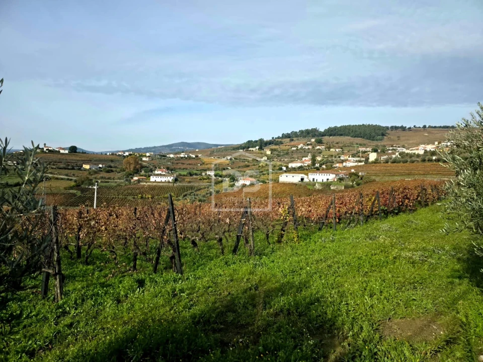 Quinta T4 para Venda em Fontelas Foto 16