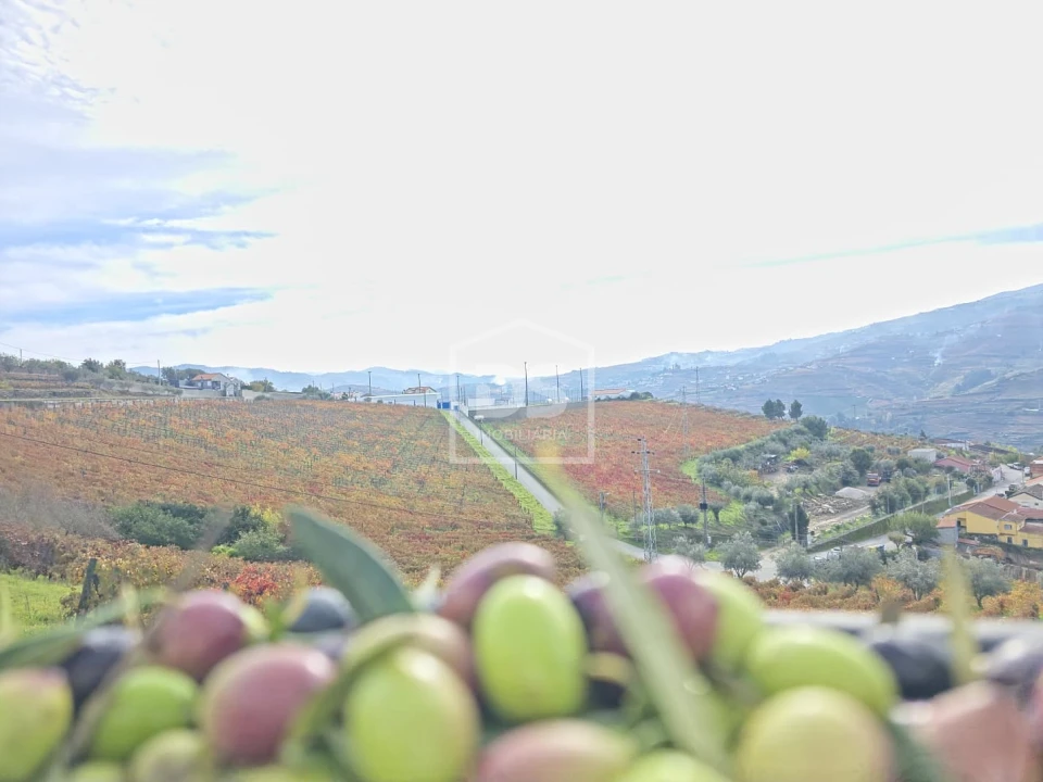 Quinta T4 para Venda em Fontelas Foto 46