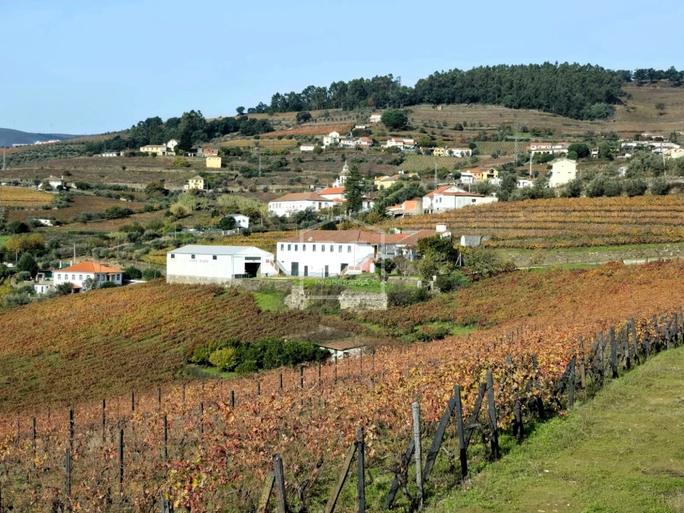 Quinta T4 para Venda em Fontelas Foto 2