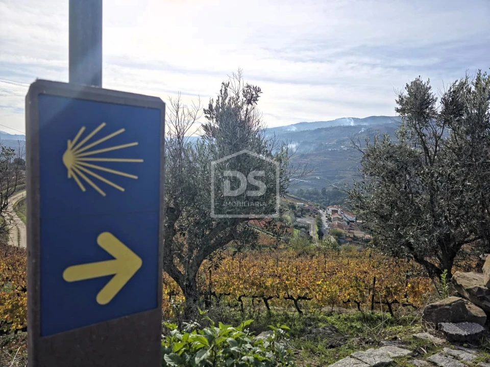 Quinta T4 para Venda em Fontelas Foto 33