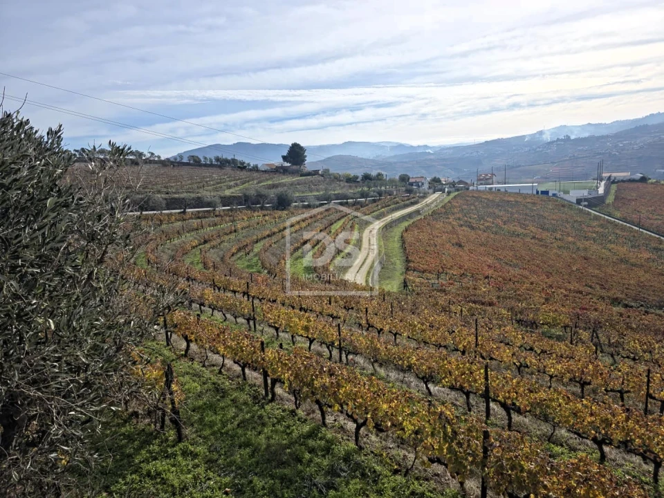 Quinta T4 para Venda em Fontelas Foto 4