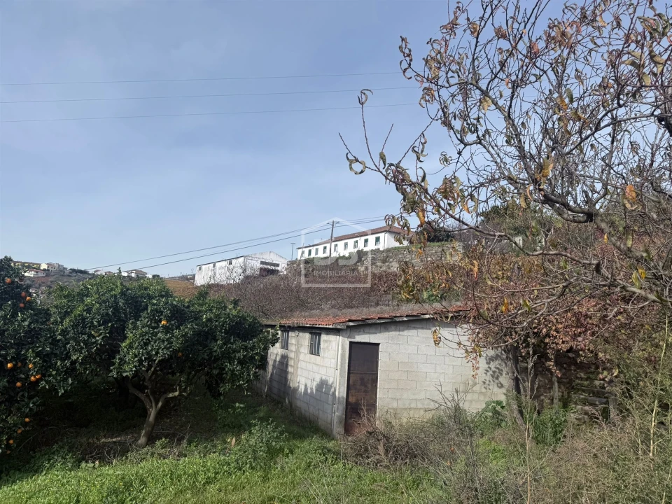 Quinta T4 para Venda em Fontelas Foto 29