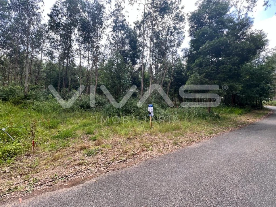 Terreno para Venda em Marrancos e Arcozelo Foto 5