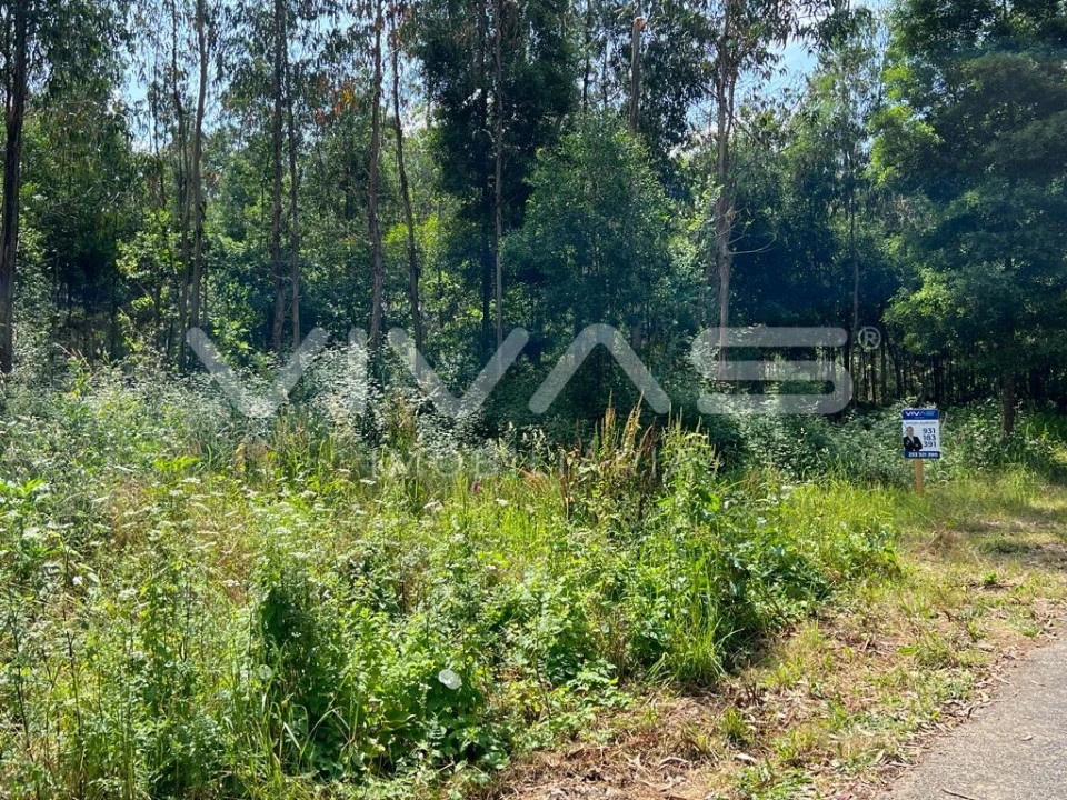 Terreno para Venda em Marrancos e Arcozelo Foto 3