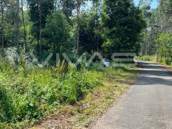 Terreno para Venda em Marrancos e Arcozelo Foto 7