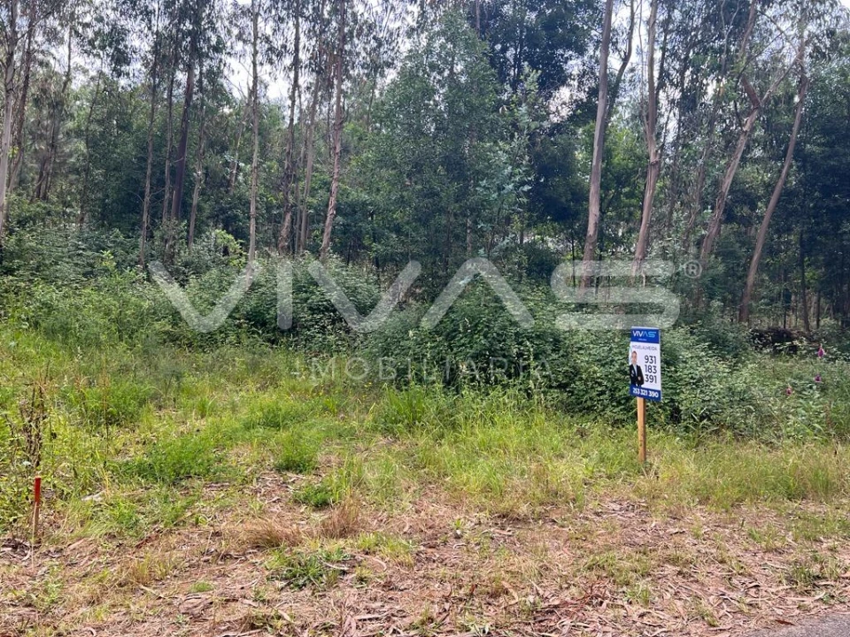 Terreno para Venda em Marrancos e Arcozelo Foto 4