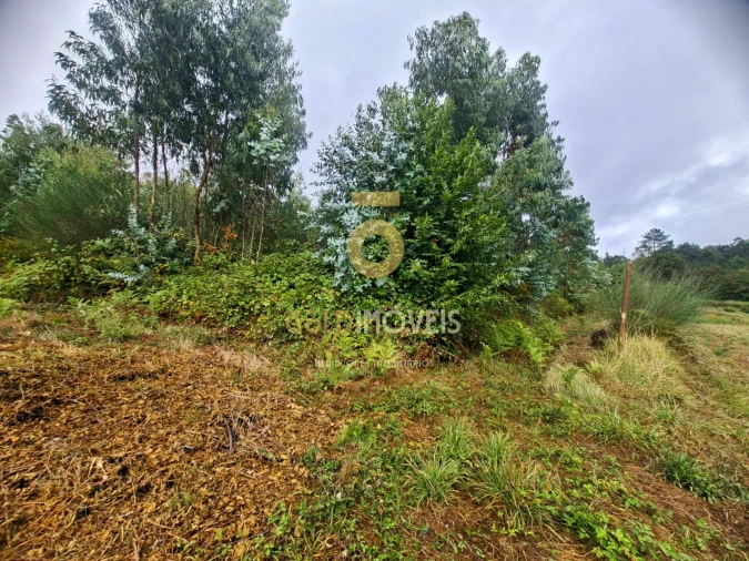 Terreno para Venda em Sanguedo Foto 2