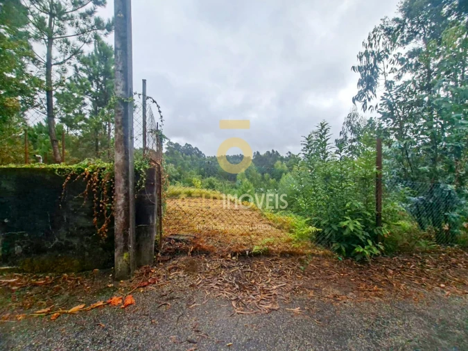 Terreno para Venda em Sanguedo Foto 3