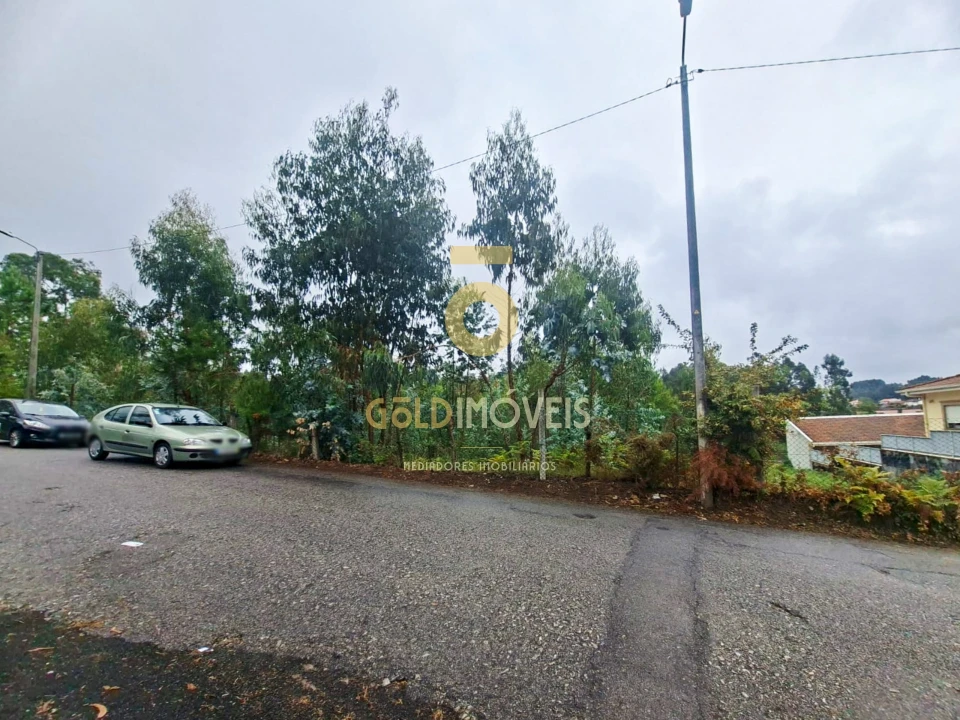 Terreno para Venda em Sanguedo Foto 1