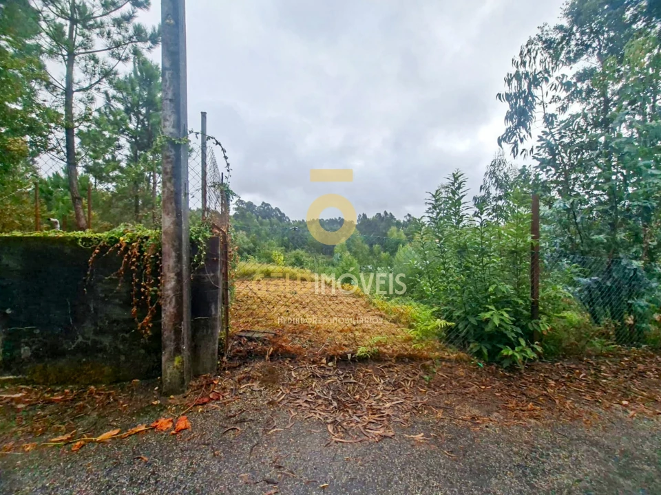 Terreno para Venda em Sanguedo Foto 3