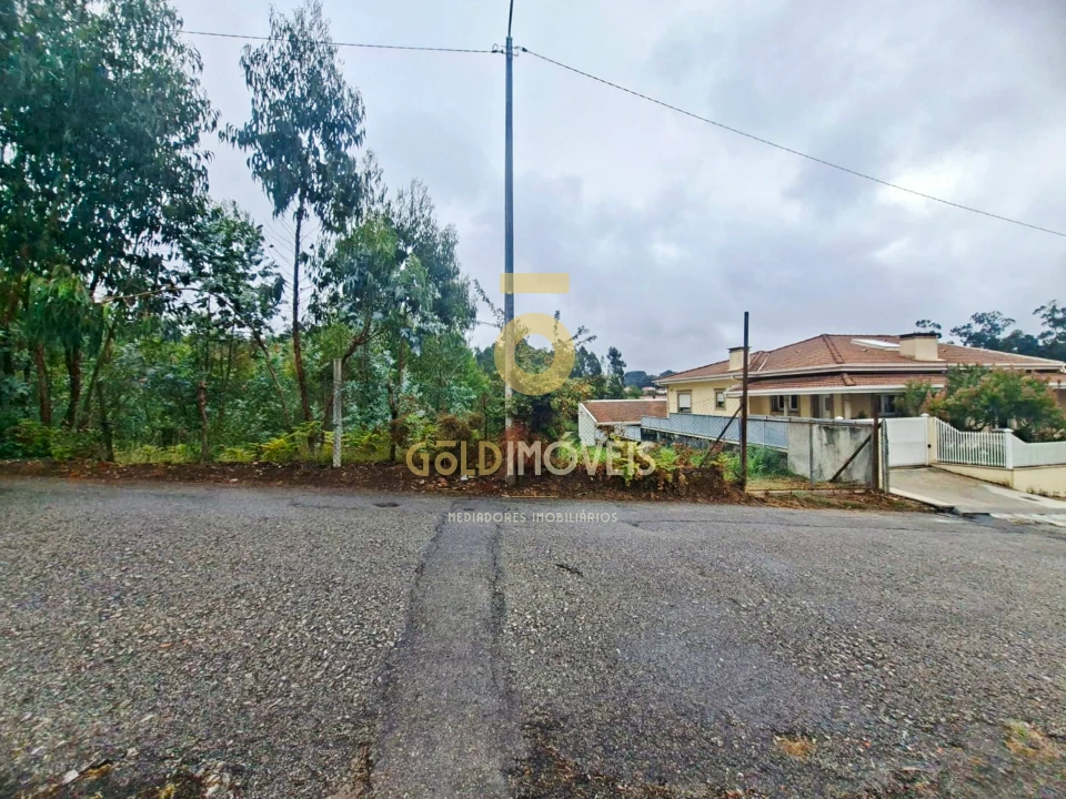 Terreno para Venda em Sanguedo Foto 5