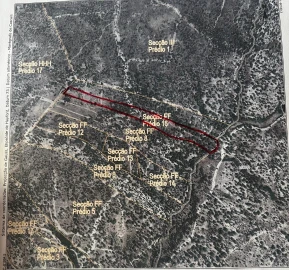 Terreno para Venda em Couço