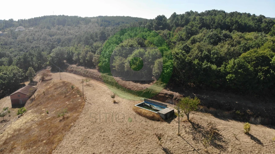 Moradia T4 para Venda em Tinhela e Alvarelhos Foto 3