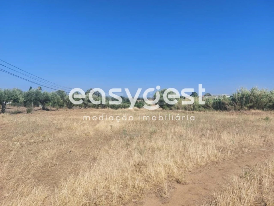Terreno Agricola ou Rústico para Venda em Beja (Salvador e Santa Maria da Feira) Foto 5