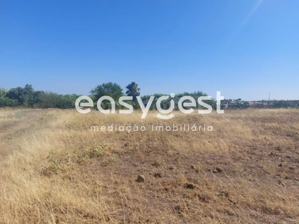 Terreno Agricola ou Rústico para Venda em Beja (Salvador e Santa Maria da Feira) Foto 6