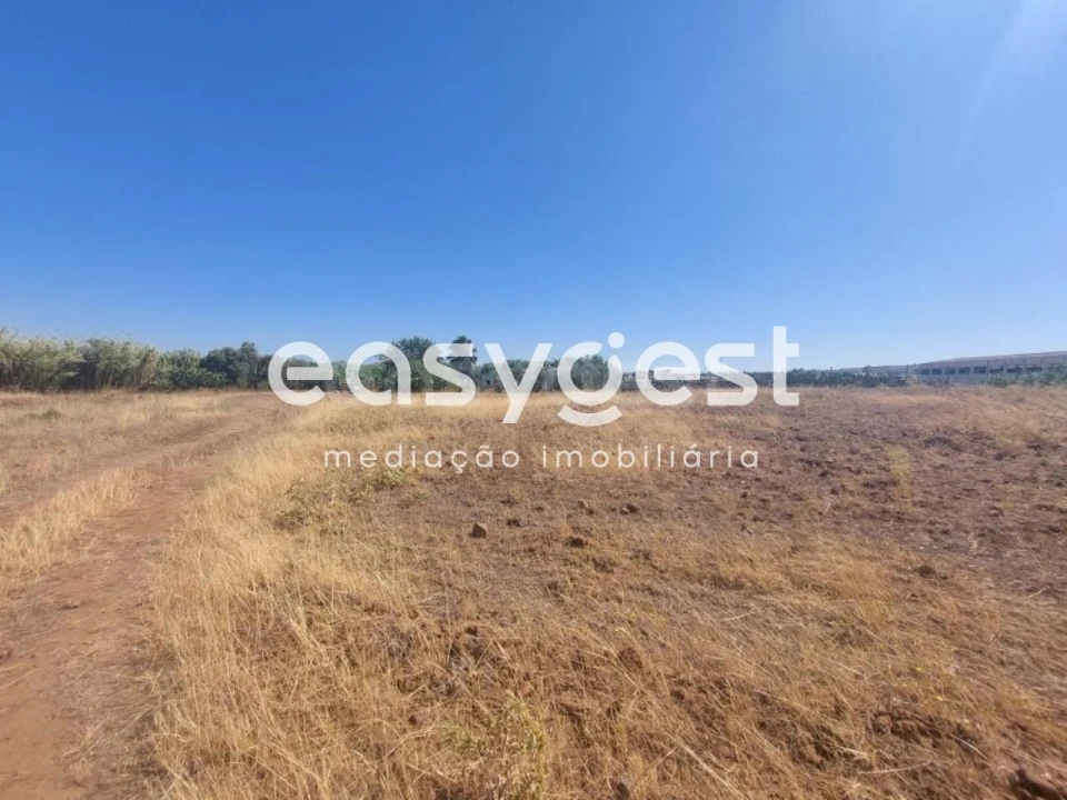 Terreno Agricola ou Rústico para Venda em Beja (Salvador e Santa Maria da Feira) Foto 7